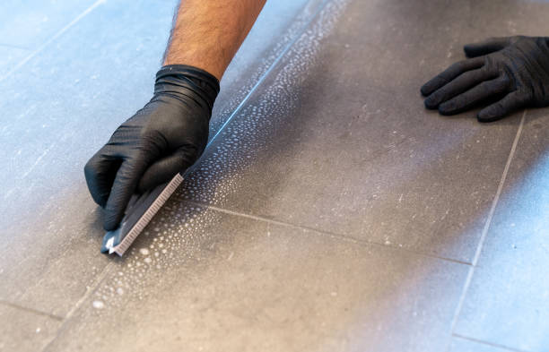 Top Rated Tile and Grout Cleaning Services